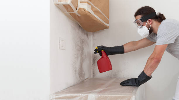 Professional Crawl Space Mold Removal technician working in South Hamilton, MA