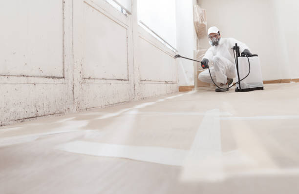 24/7 Emergency Crawl Space Mold Removal experts in South Hamilton, MA