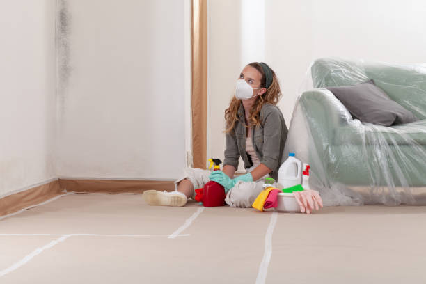 Reliable Crawl Space Mold Removal contractor in South Hamilton, MA by WQB Mold Removal